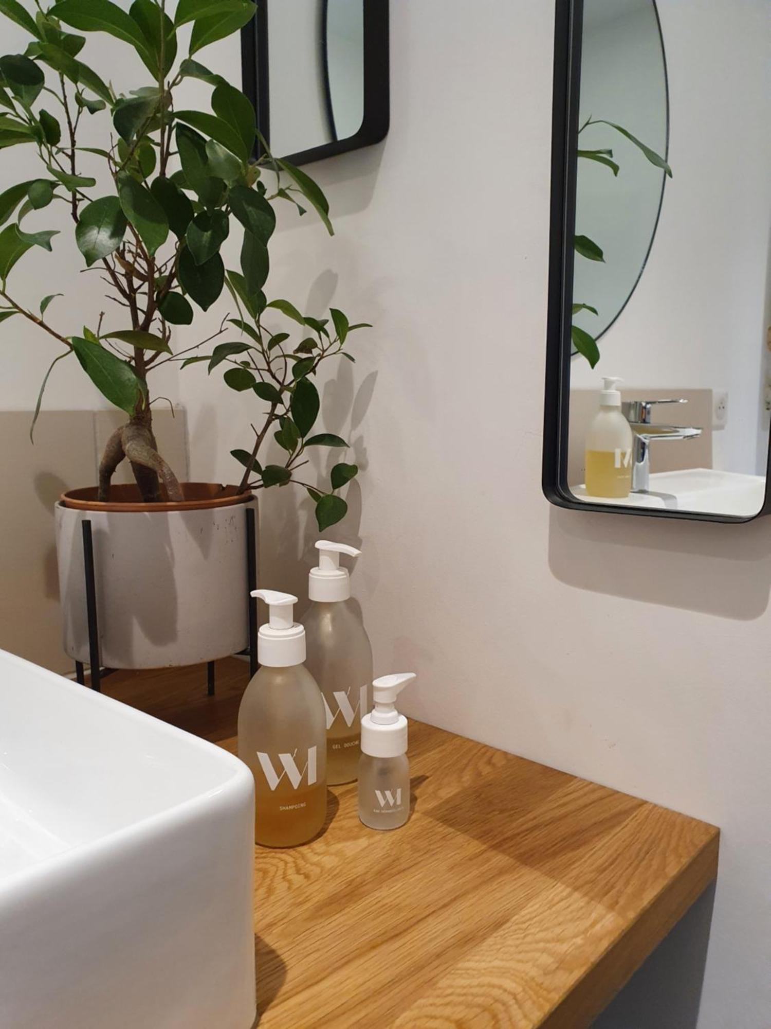 Le Jardin Suspendu Vieux-Lyon - Option Garage Apartment Room photo